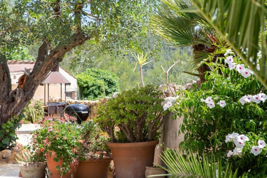 Sitges Hill Retreats-Masia Nur 22 Bedrooms Divided Over 9 Houses For Max 44 Guests Canyelles  Eksteriør bilde